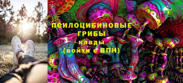 прущие крисы Абинск