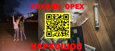 тгк Бийск