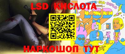 тгк Бийск