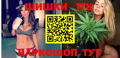 тгк Бийск