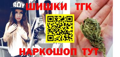 тгк Бийск