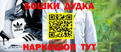 тгк Бийск