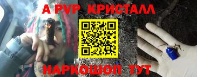 тгк Бийск