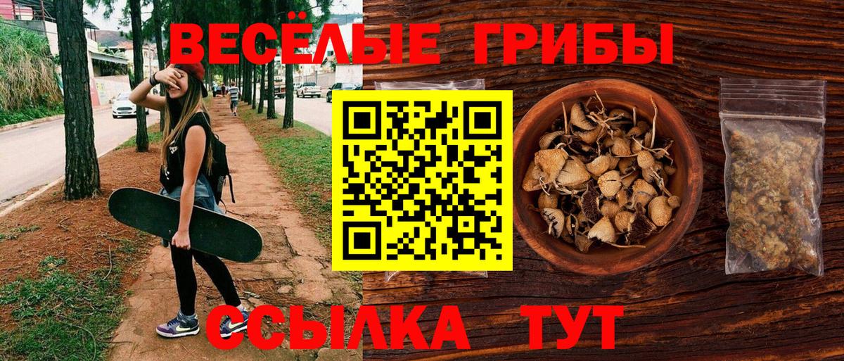 Галлюциногенные грибы Psilocybine cubensis Заволжье