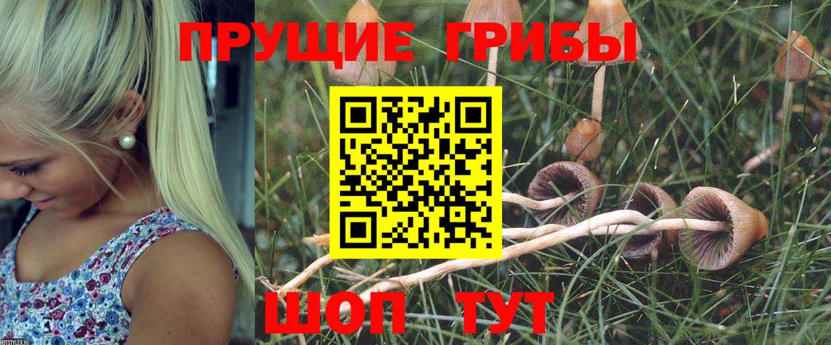 Псилоцибиновые грибы MAGIC MUSHROOMS  Вход с VPN  Галлюциногенные грибы мухоморы  Заволжье 